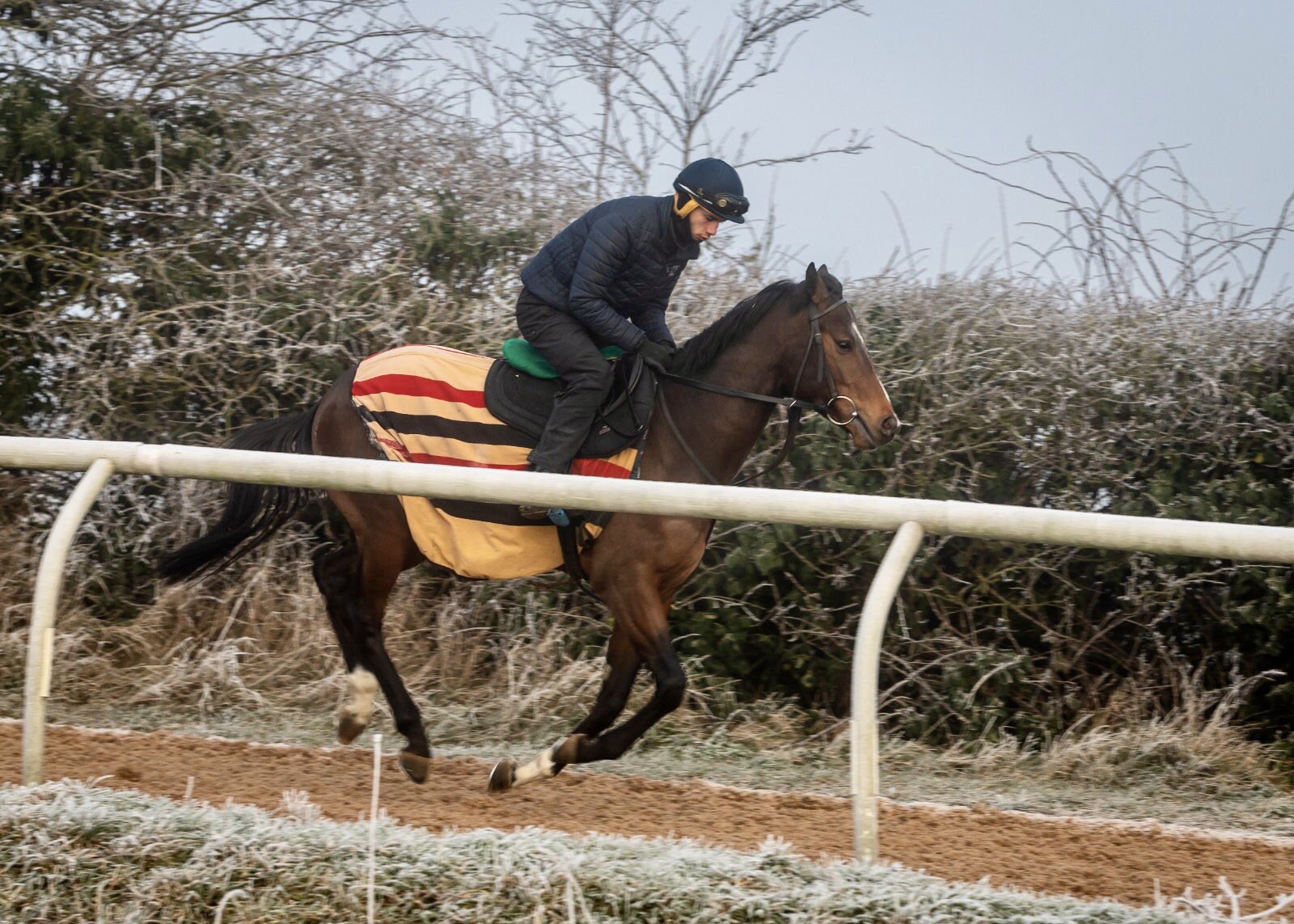 Our Horses – Robin Hood Racing